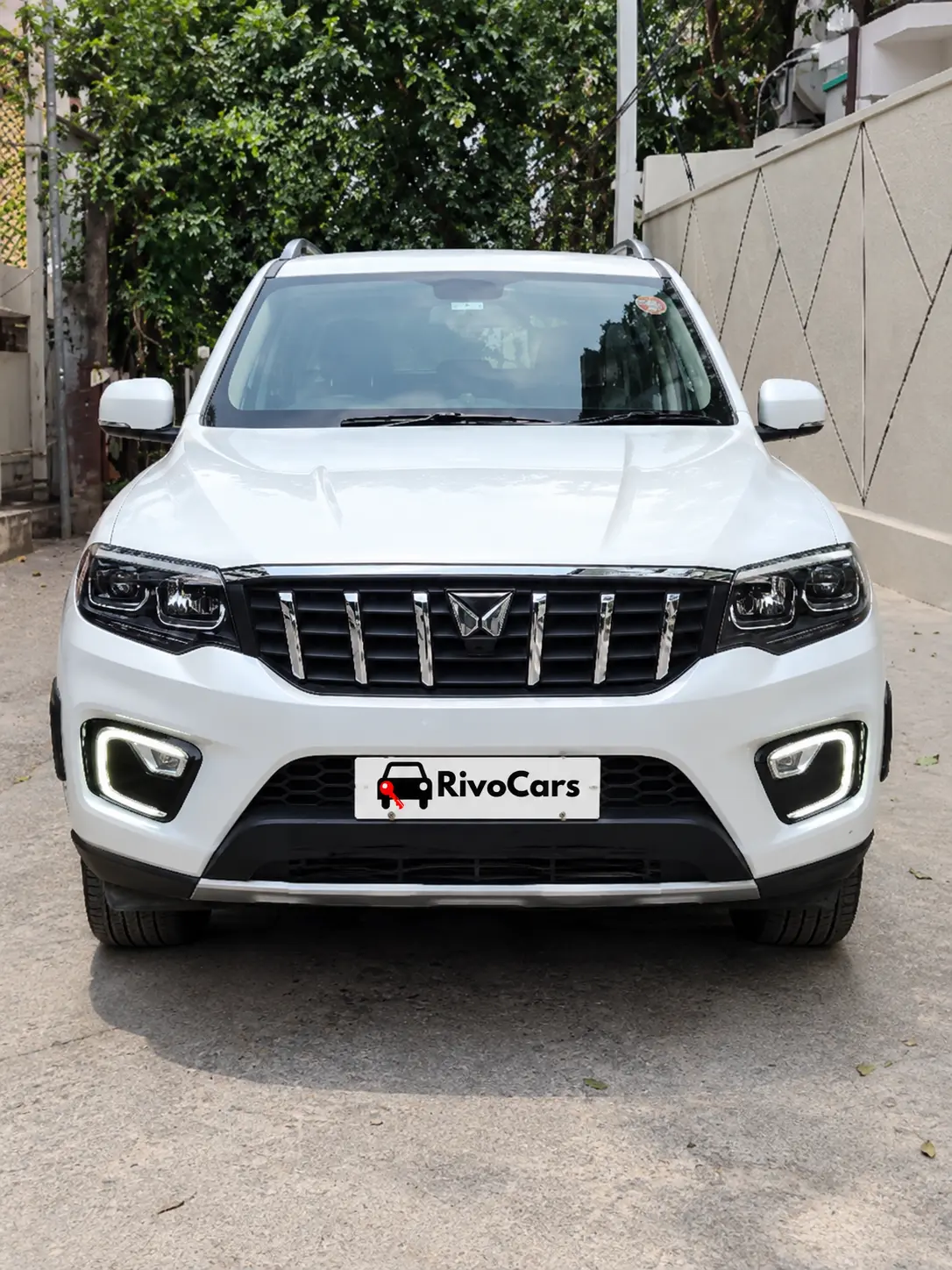 Scorpio n Z6 2024